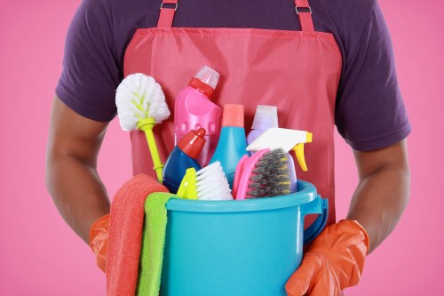 Regular cleaning service for a Highbury home with living room and hallway care