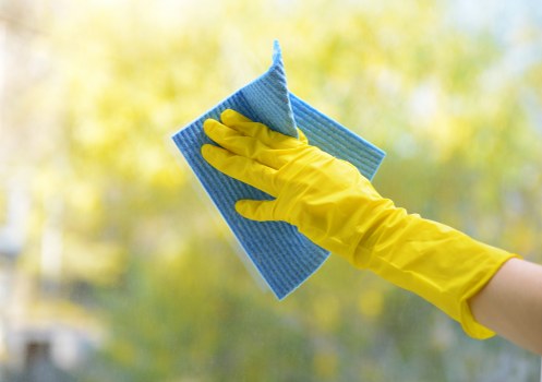 Professional stain removal for carpets and upholstery in Highbury homes