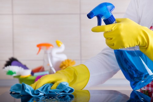Local cleaners working in a Highbury kitchen and living area