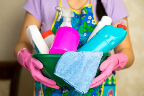 Carpet cleaning service for a Highbury home interior