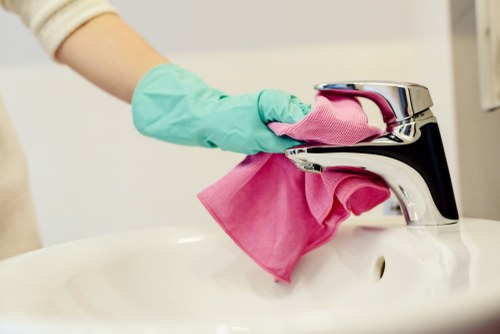 Detailed bathroom deep cleaning in Highbury