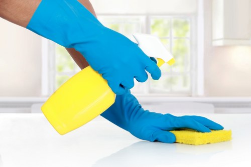 Professional cleaner maintaining shared stairwell and hallway areas