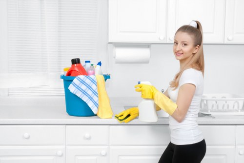 Review of a cleaning service issue with notes and records