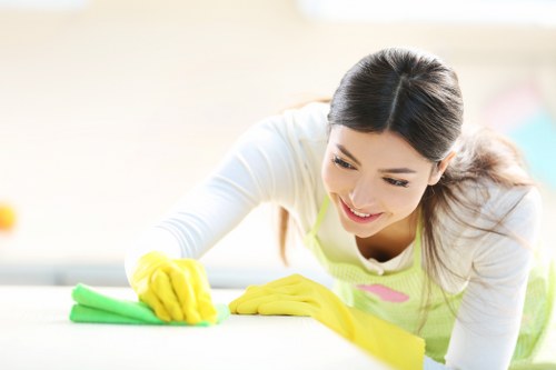 Professional post-renovation cleaning in a Highbury property