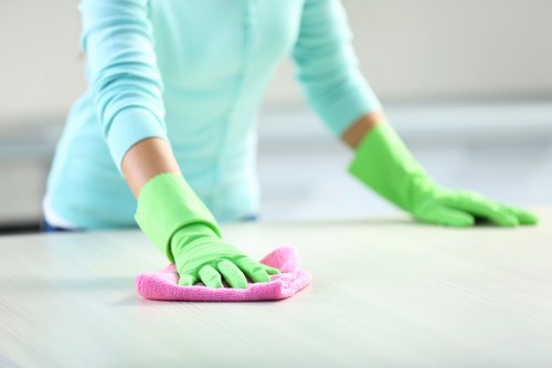 Professional cleaner tidying a kitchen in Highbury