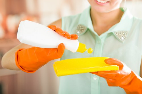 Professional deep cleaning of carpets in a Highbury property
