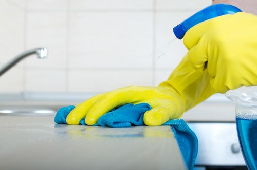 Thorough kitchen deep clean in a Highbury property