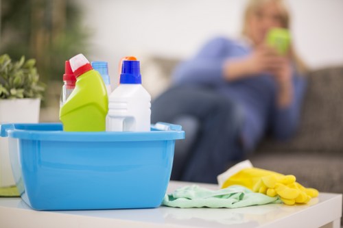 Professional cleaner working in a domestic property