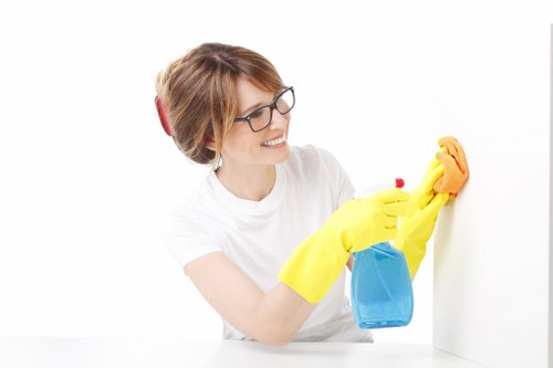 Mattress stain removal and deodorising service in Highbury