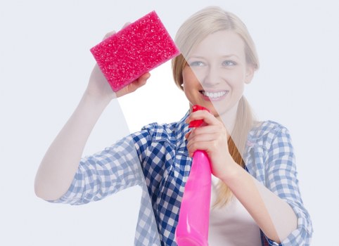 SSL-protected Highbury Cleaner transaction page