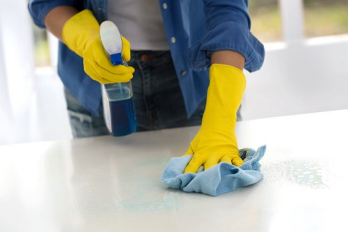 Deep cleaning treatment for a stained mattress in Highbury