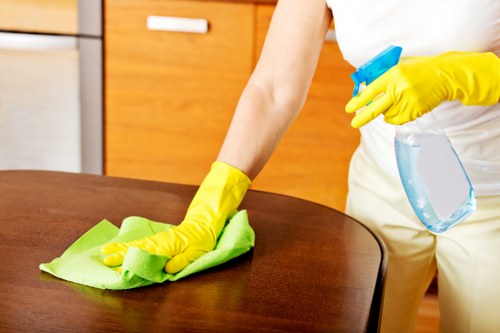 Local cleaning team servicing shared areas in a Highbury property